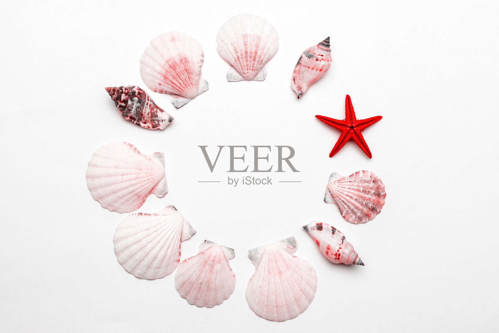 暑假的背景。框架时尚的活珊瑚彩色贝壳,红色海星孤立在白色的背景。夏天即将到来照片摄影图片