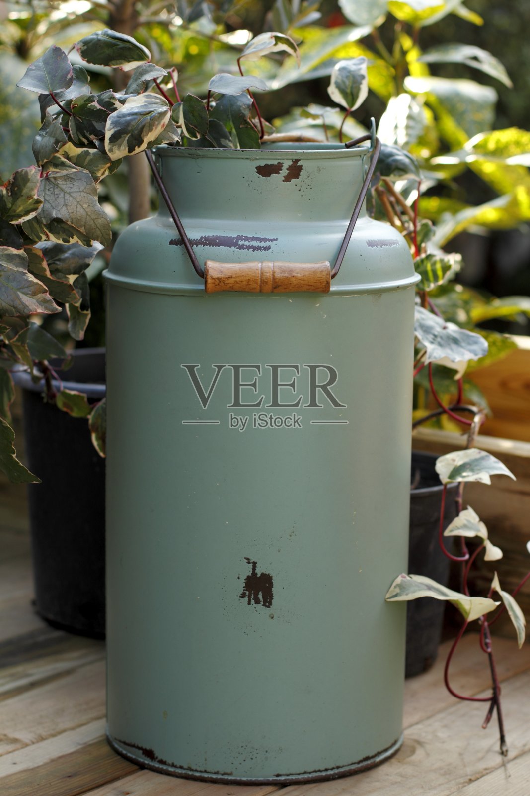 在花园里装树叶的金属垃圾桶照片摄影图片