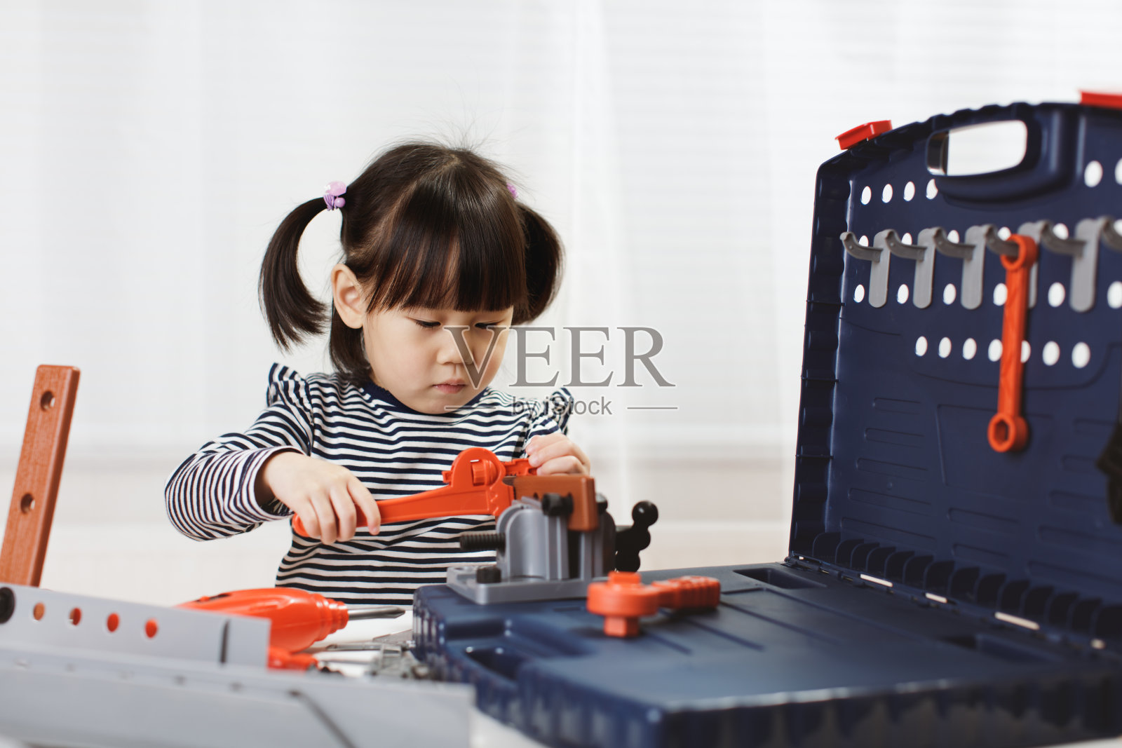 雌性红胁绿鹦鹉照片摄影图片