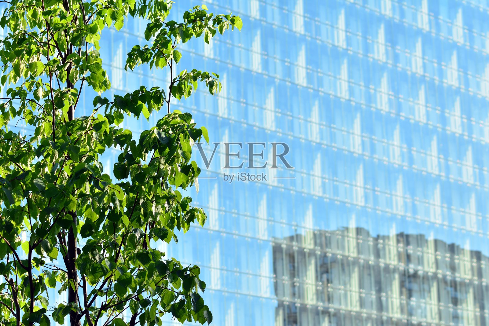 当代住宅建筑在日光下的外观照片摄影图片