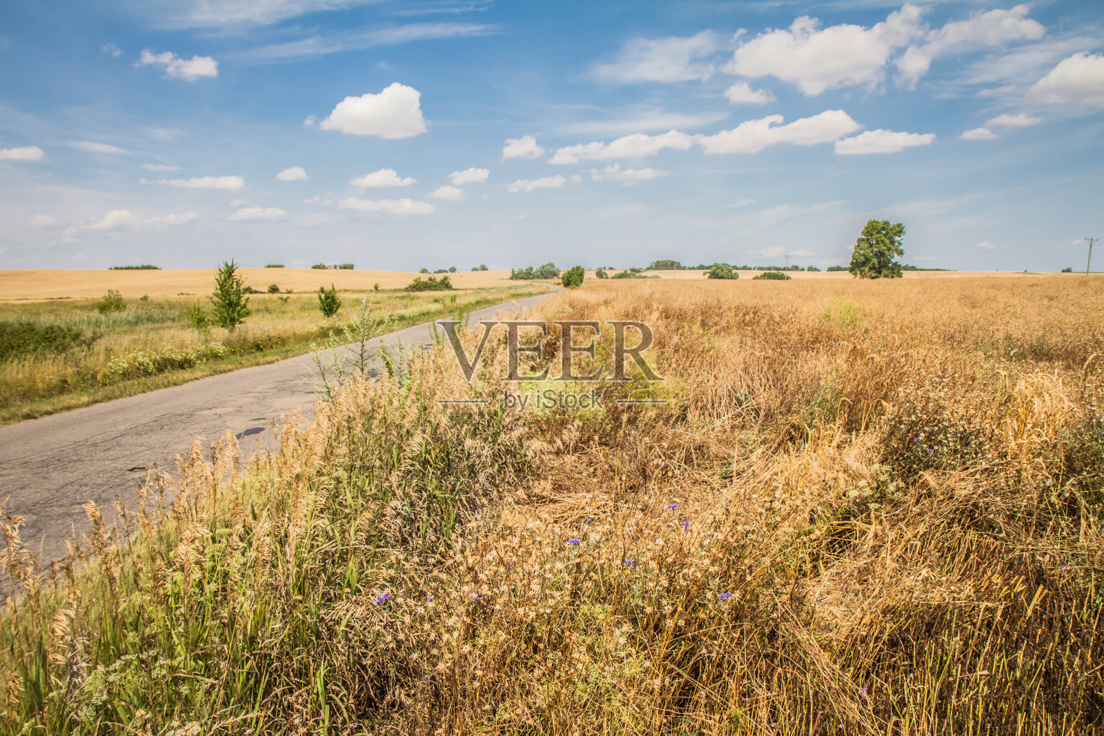 字段之间的道路照片摄影图片