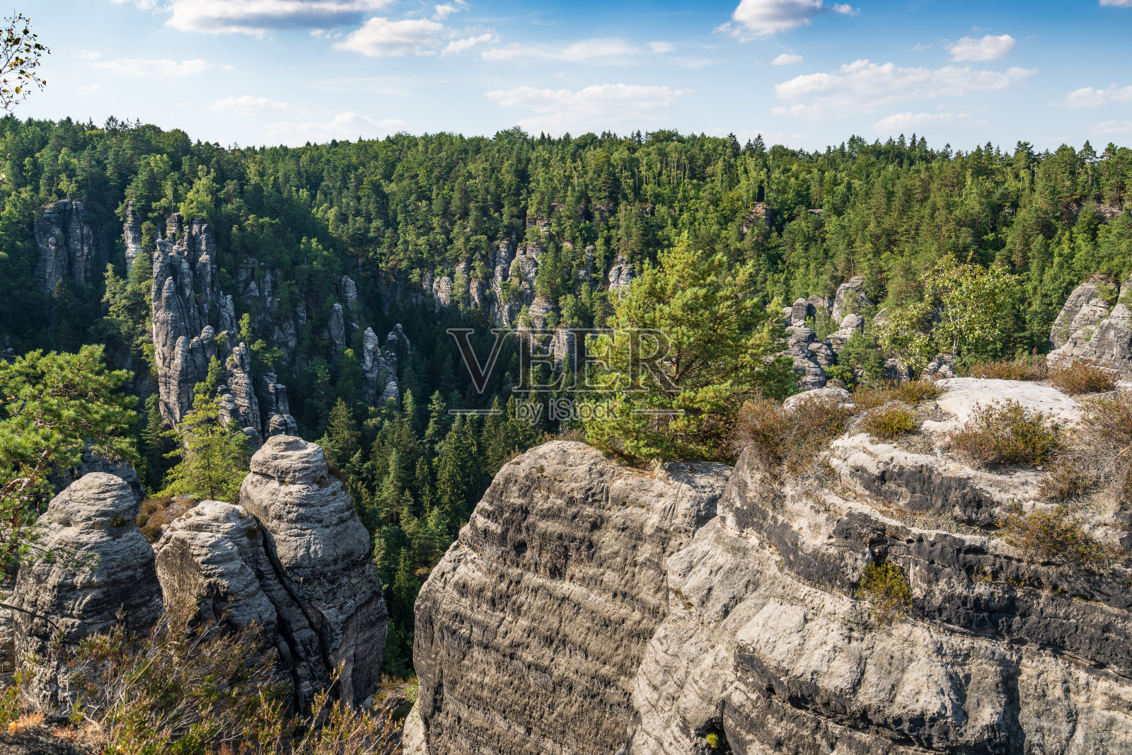 瑞士波西米亚的坏山道。巴斯蒂桥和山景。狭窄的岩石,天然的砂岩拱门在欧洲。有绿色植物、蓝天和阳光的山景。照片摄影图片