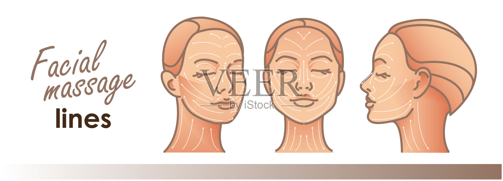 按摩脸部线条。美容、护肤、按摩线条。矢量图插画图片素材