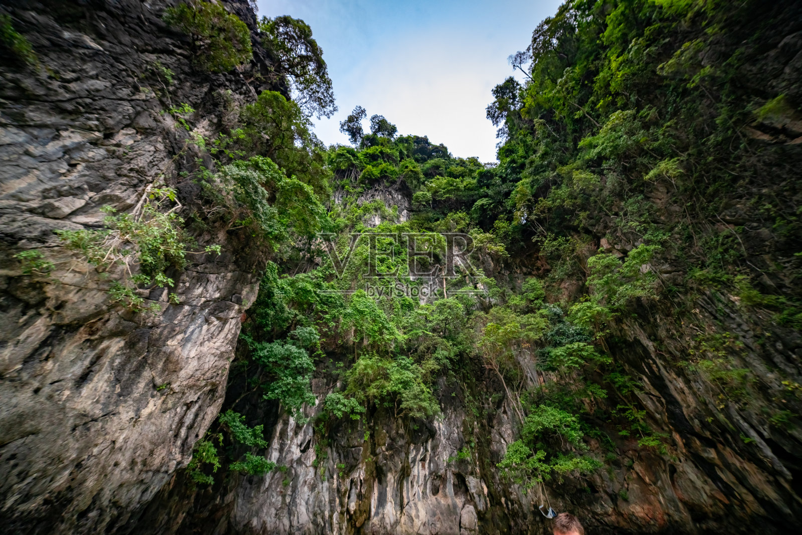 泰国皮皮岛猴子海滩山顶上茂密的绿色丛林照片摄影图片