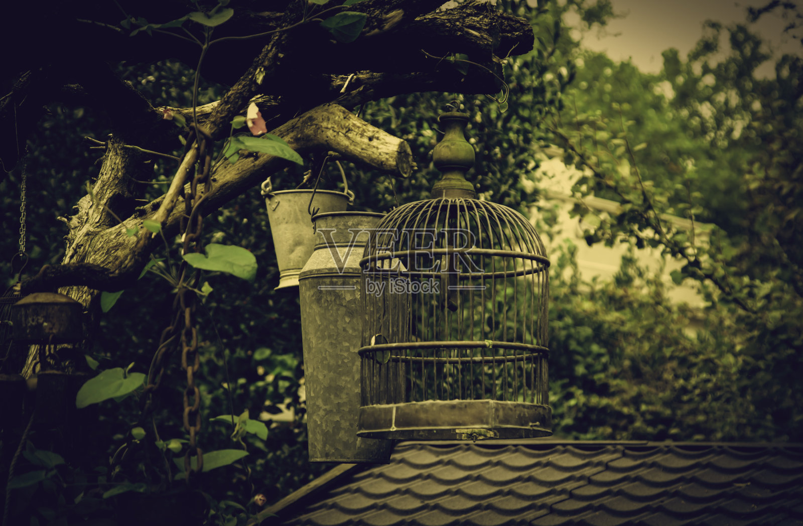 空鸟笼照片摄影图片