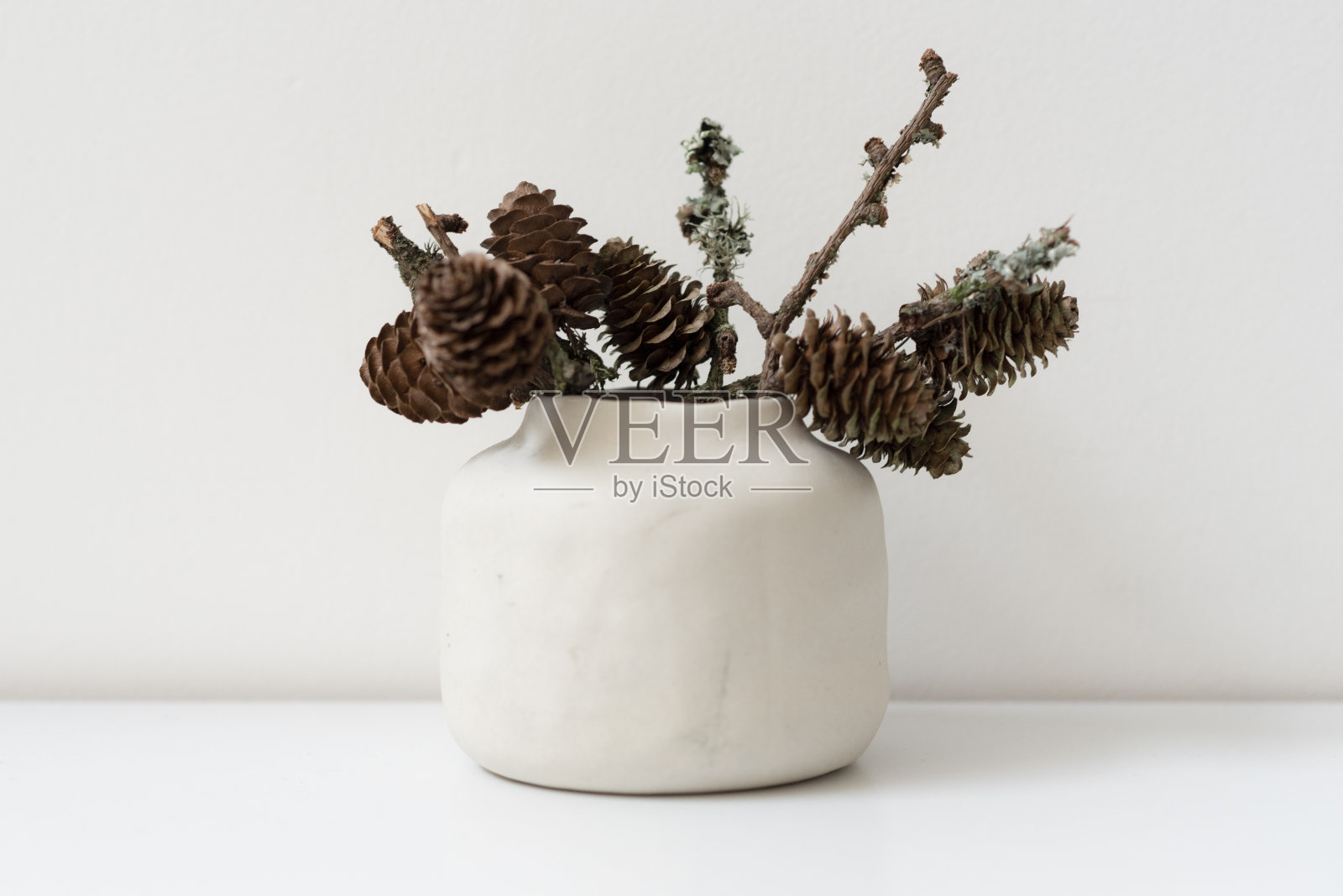 小松果天然色调陶瓷花瓶照片摄影图片