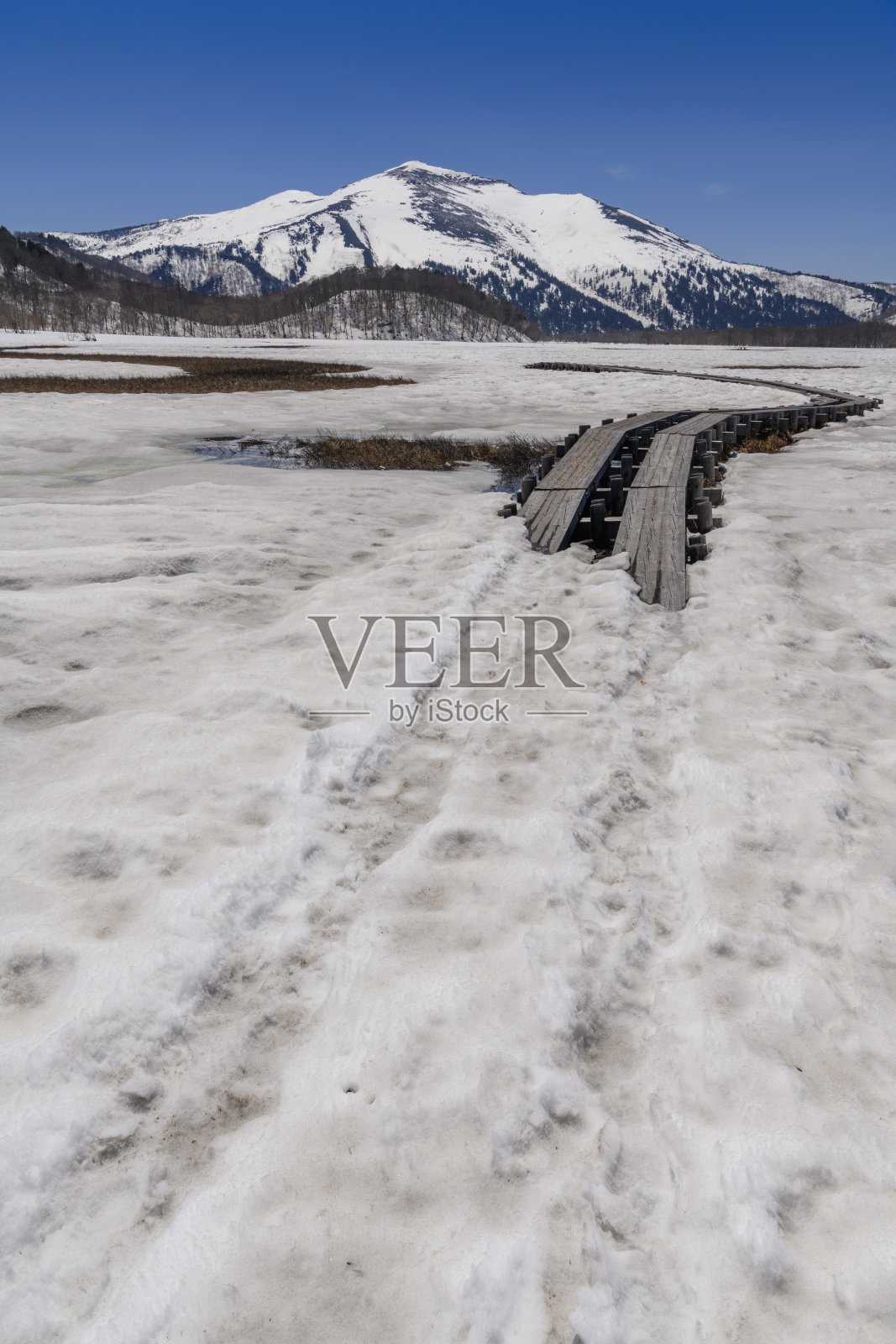 从Ozegahara沼泽看到的shibutsu山照片摄影图片