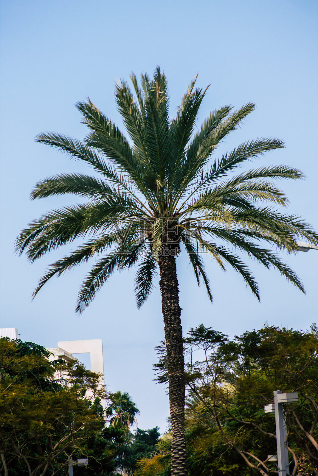 以色列的颜色照片摄影图片
