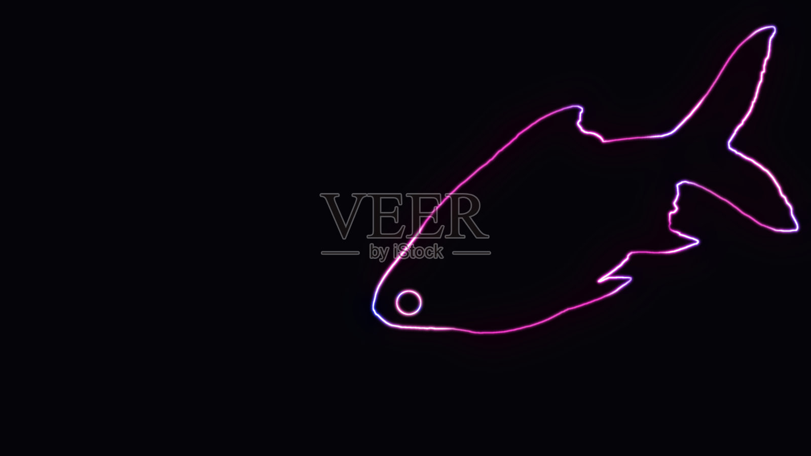 美丽轮廓的锡箔倒钩鱼(Barbonymus schwanenfeldii),与霓虹灯。动物轮廓与霓虹灯效果隔离在黑色背景。照片摄影图片