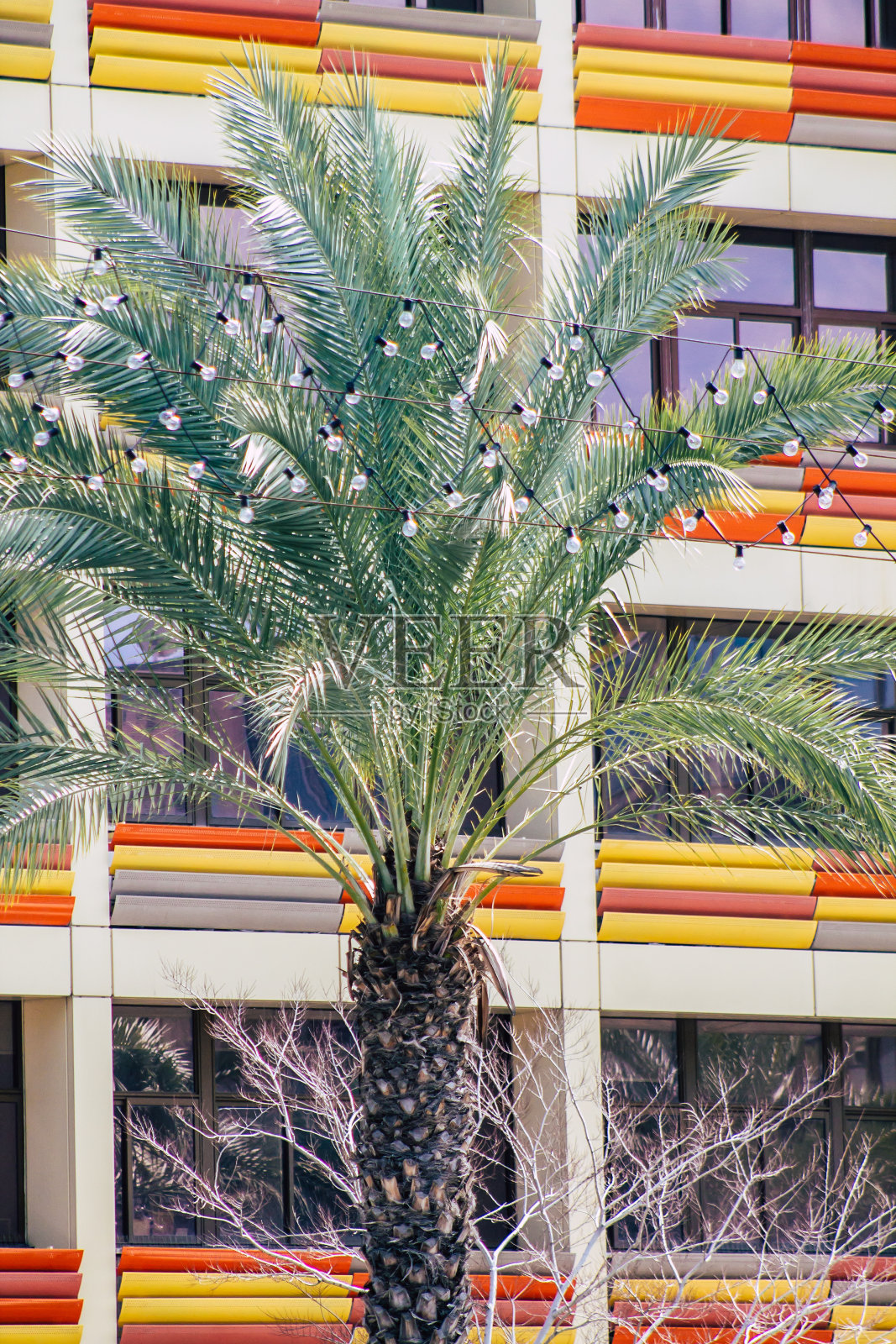 以色列的颜色照片摄影图片