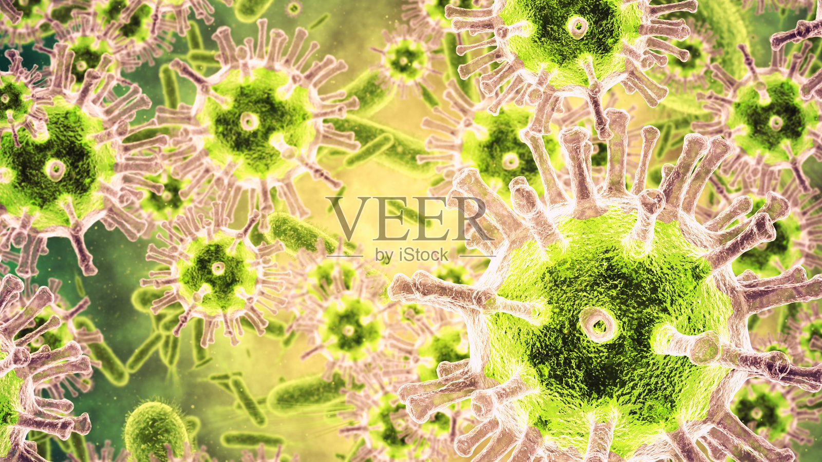 细菌特写镜头照片摄影图片