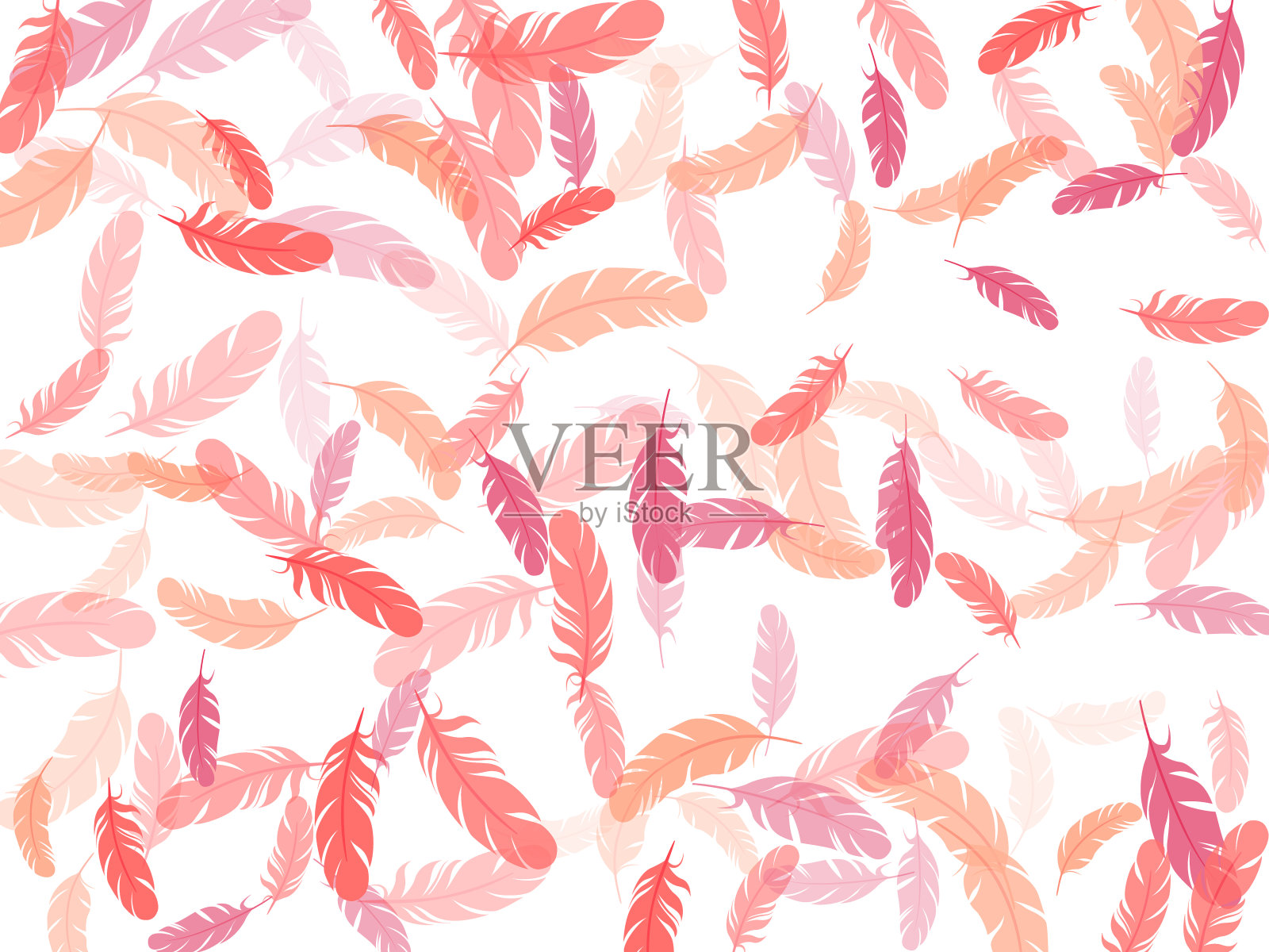 详细的宏伟羽毛上的白色设计。插画图片素材