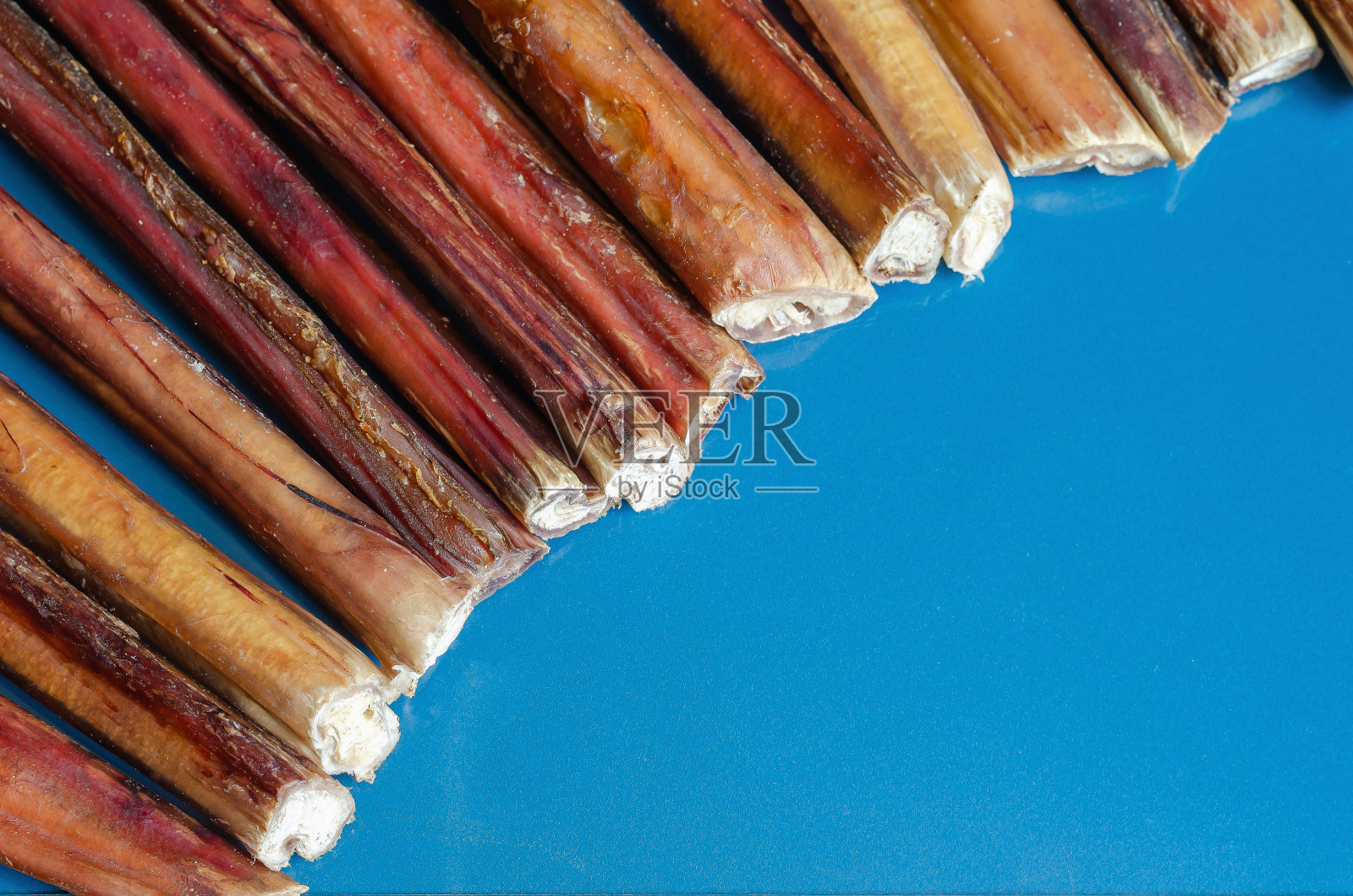 干燥的不同直径的公牛阴茎。照片摄影图片