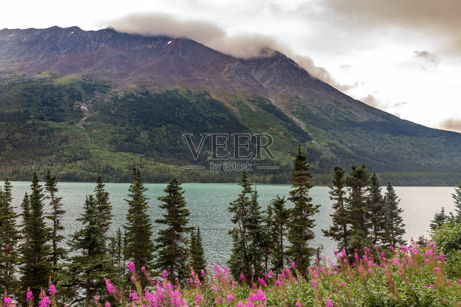 加拿大阿拉斯加和育空之间的不列颠哥伦比亚省弗雷泽附近的图奇湖照片摄影图片