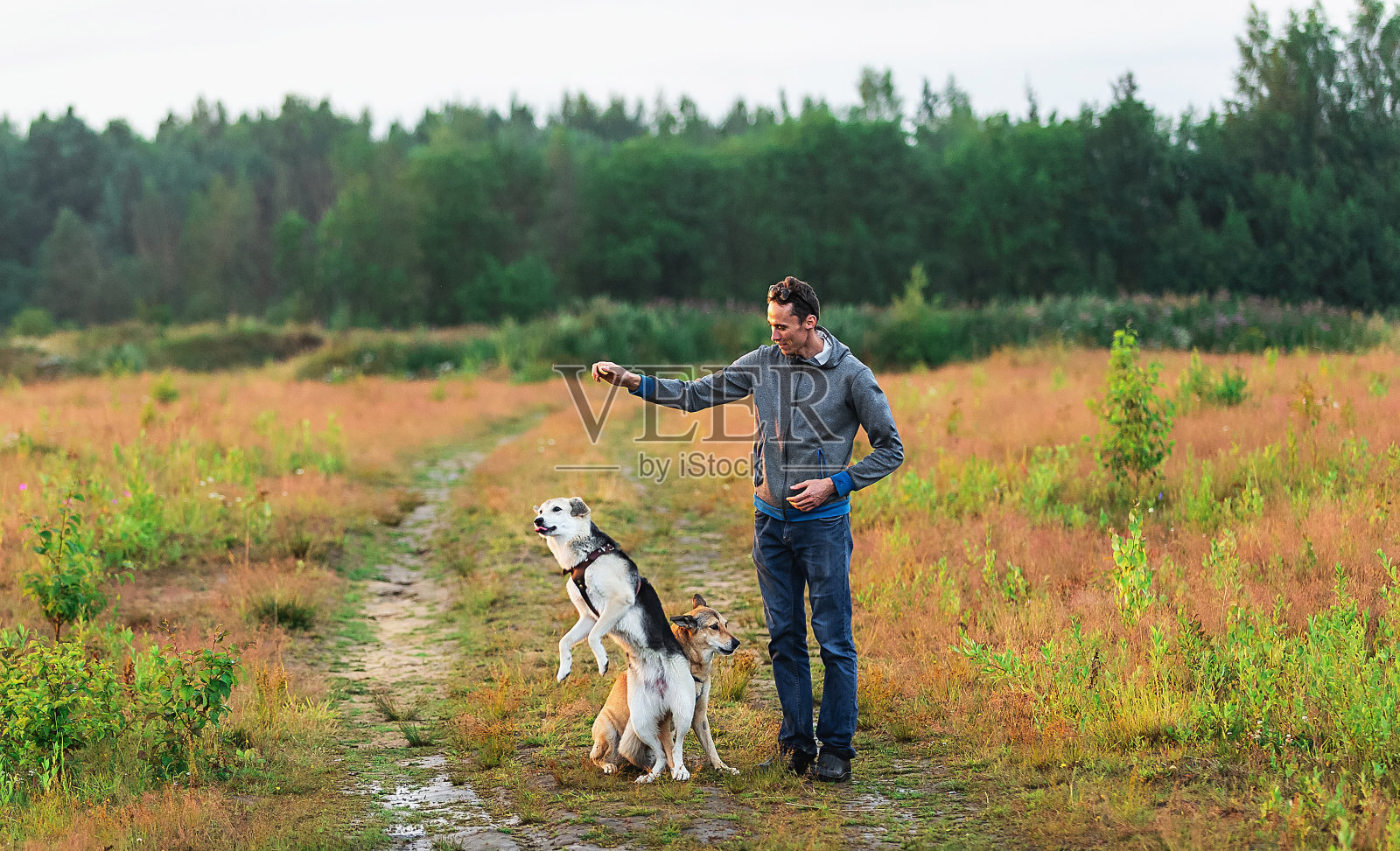 年轻男子在乡村训练犬只照片摄影图片