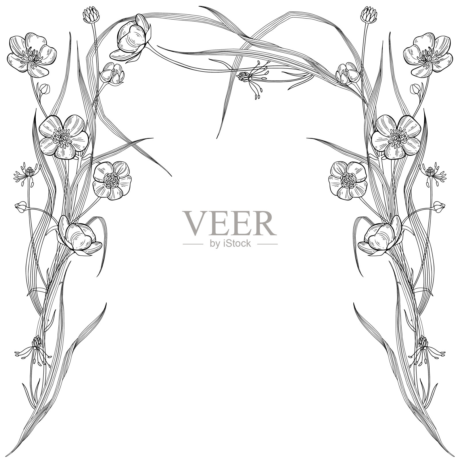 花拱形框架与毛茛,草叶和地方的文字上的白色。邀请,贺卡或一个元素为您的设计婚礼,派对。插画图片素材