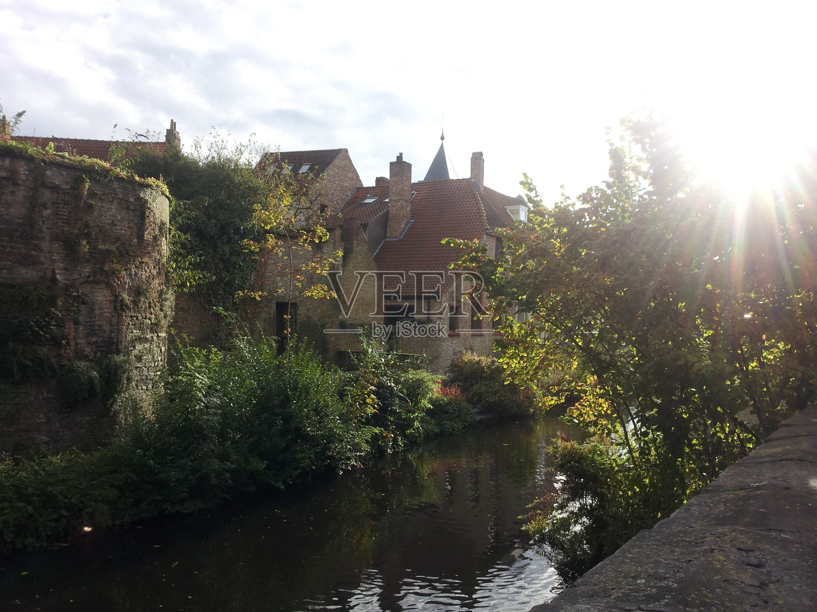 使用照片摄影图片