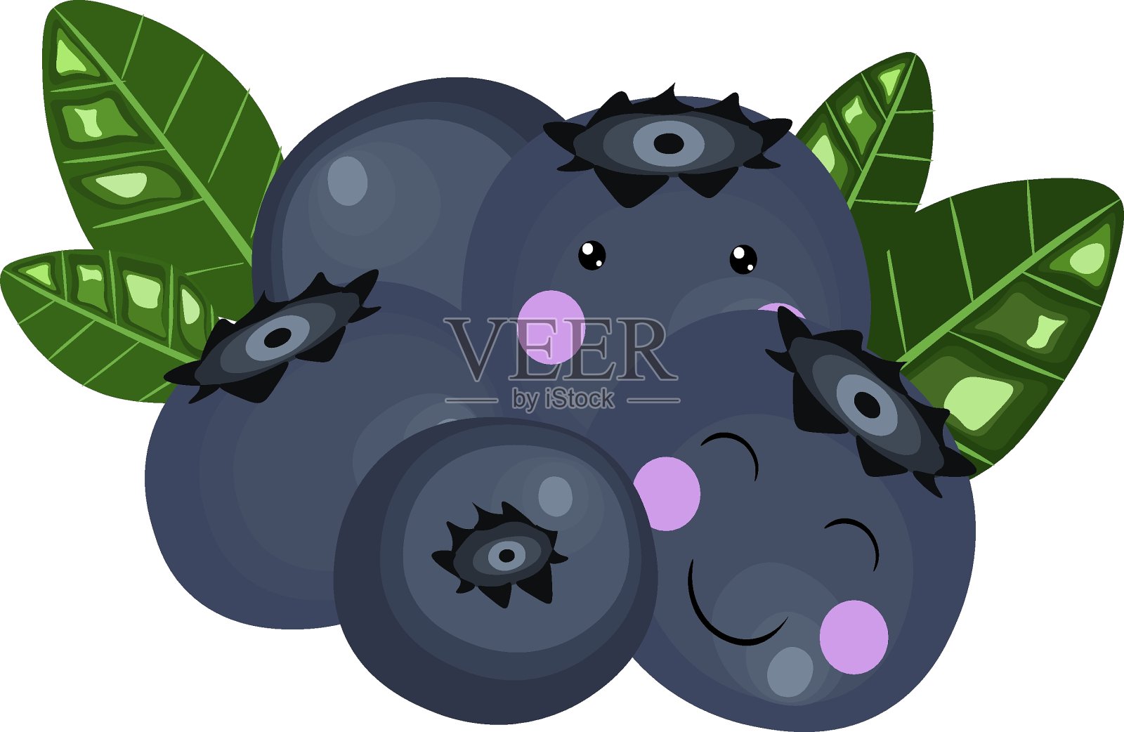 可爱的成熟蓝莓,绿色的叶子,白色的背景插画图片素材