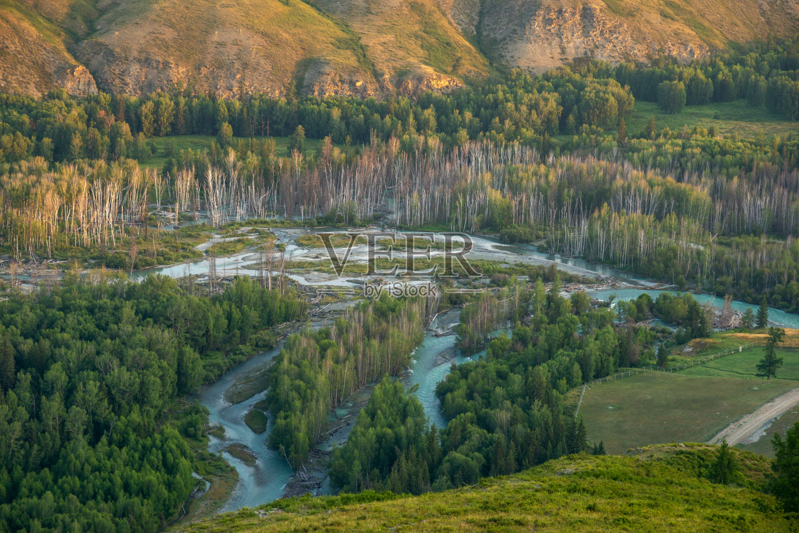 河流穿过山谷森林的景观照片摄影图片