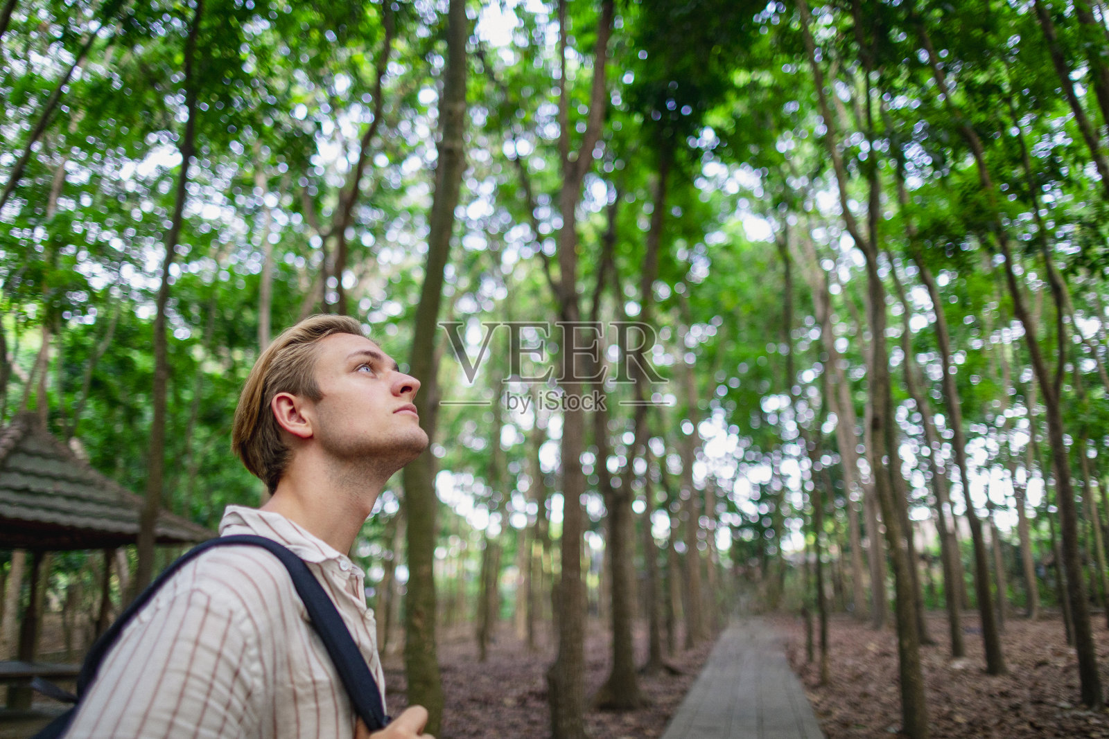 站在天堂照片摄影图片