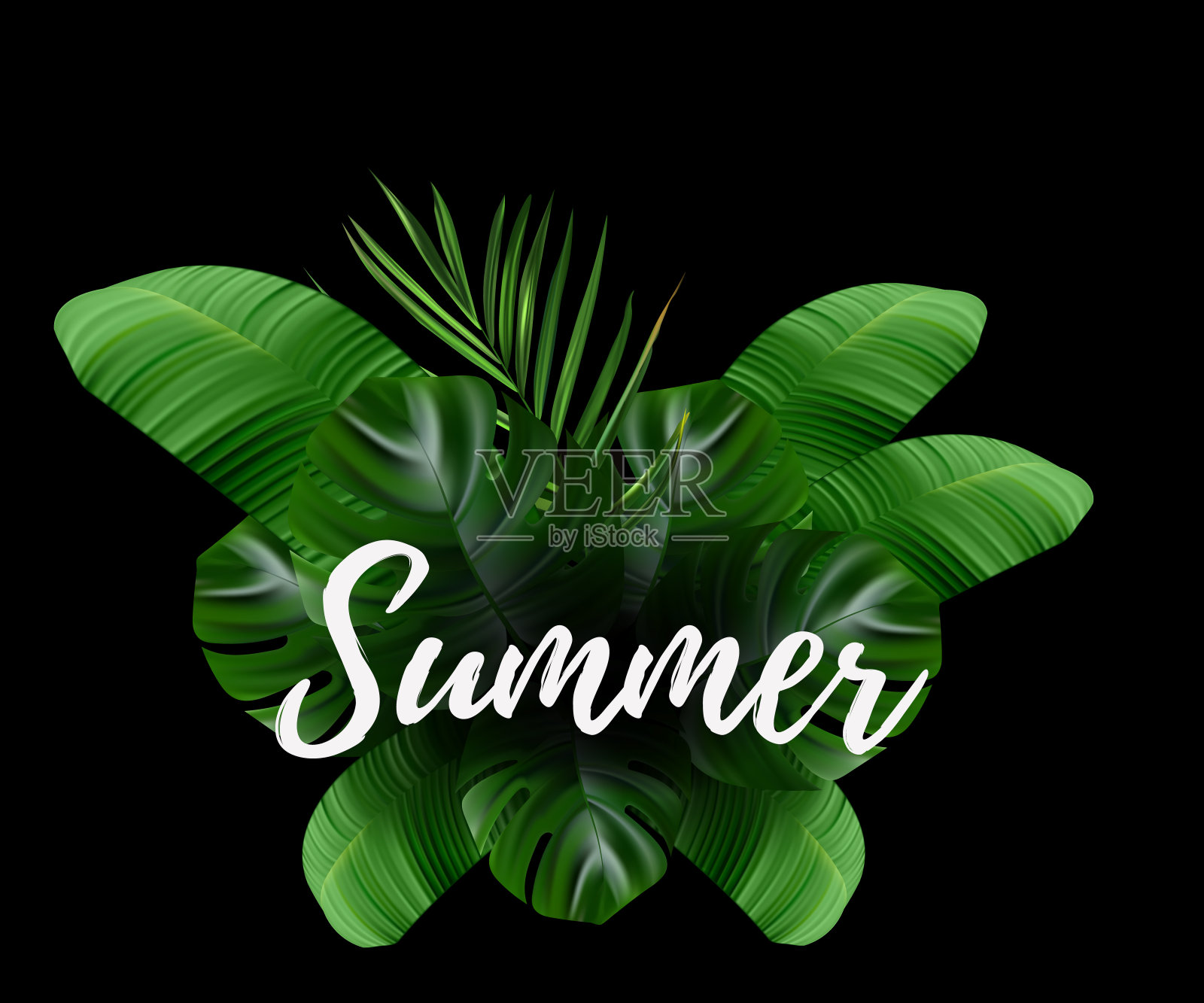 热带花卉。丛林棕榈树和热带背景。向量花卉插图。绿色热带花卉旗帜。插画图片素材