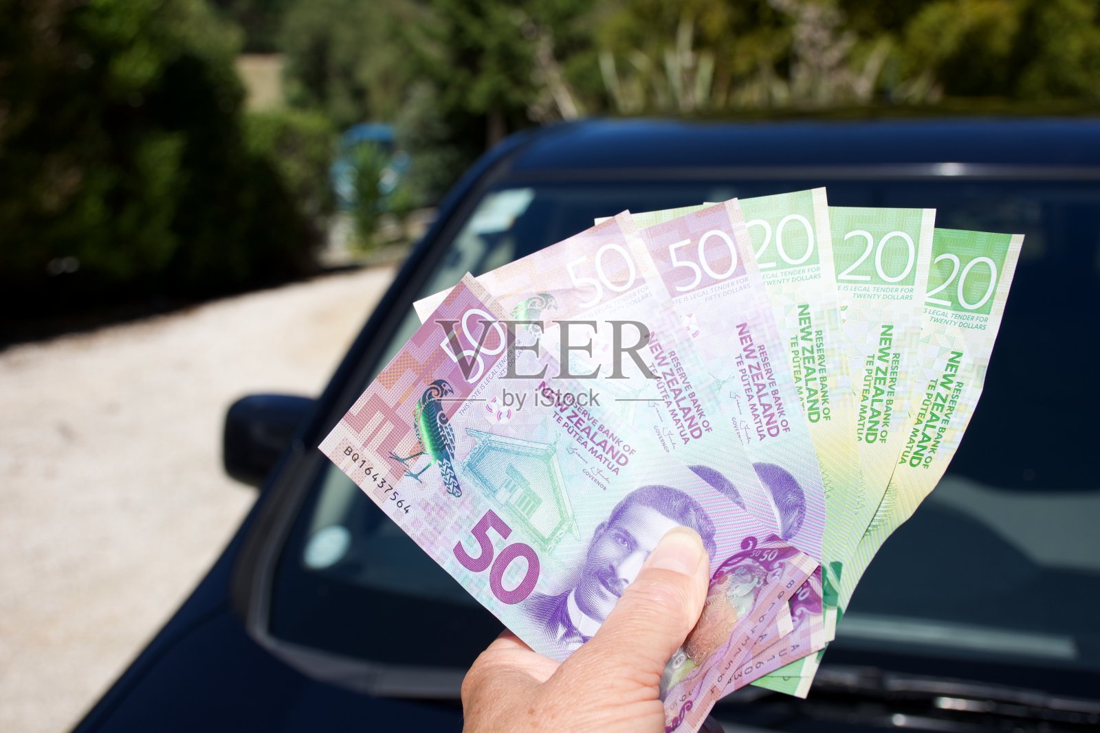 一辆车的成本-新西兰元新西兰元照片摄影图片