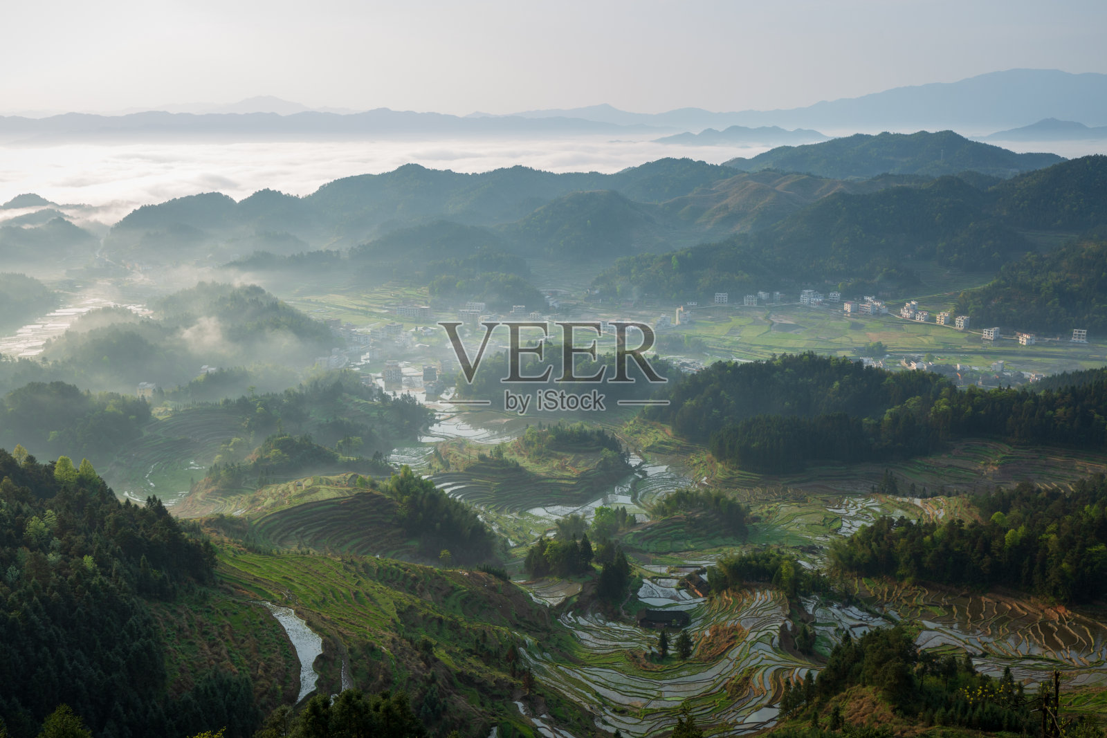 紫喜鹊梯田是中国风景区、自然文化遗产、水利风景区。照片摄影图片