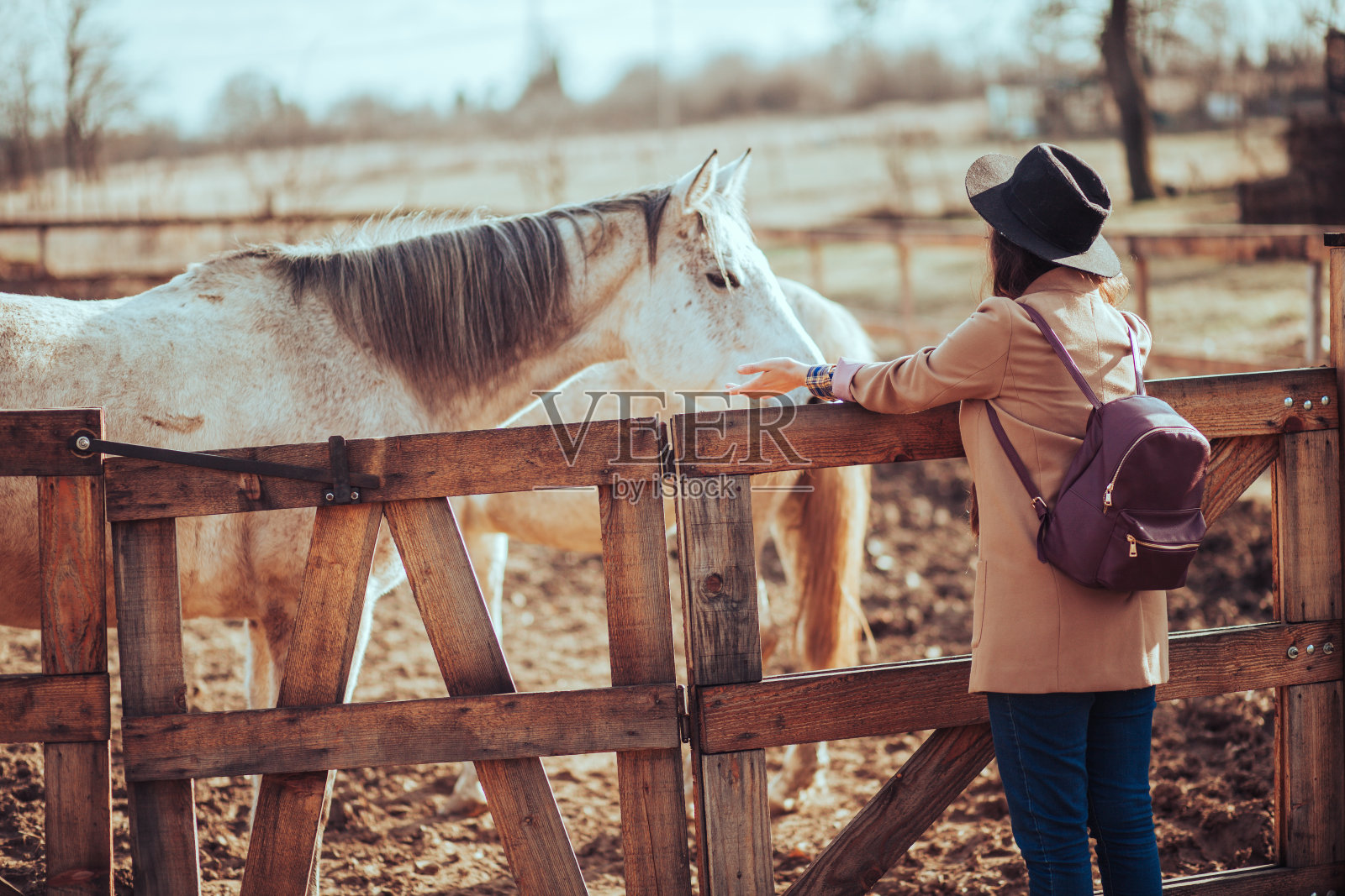 年轻女人和马照片摄影图片