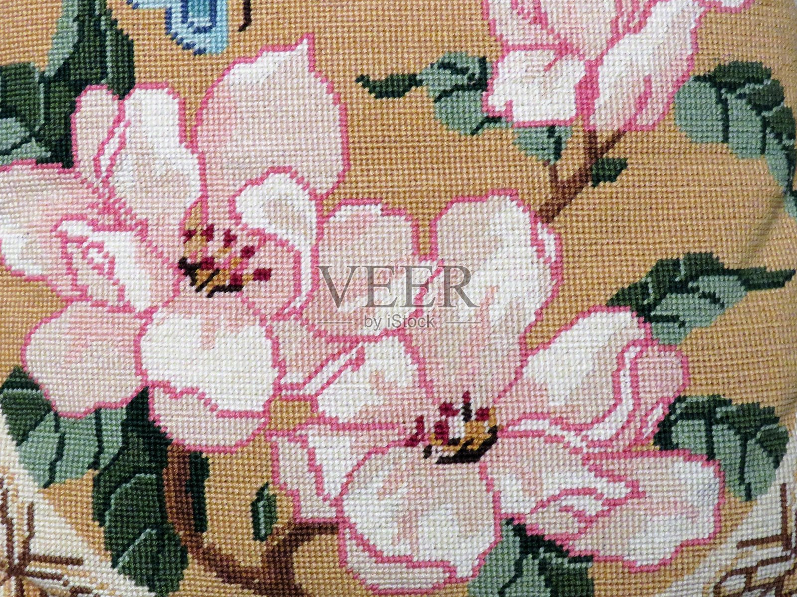 针尖的粉红色和白色花朵照片摄影图片