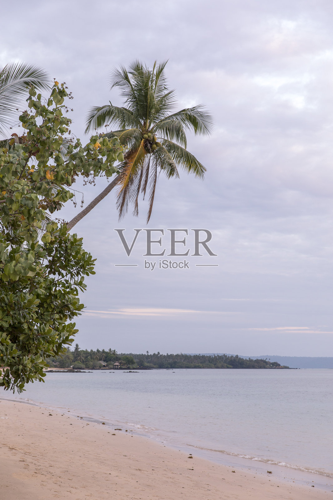 麦高照片摄影图片