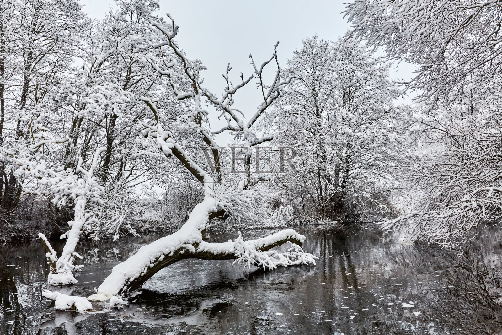 冬天森林里的雪和河照片摄影图片