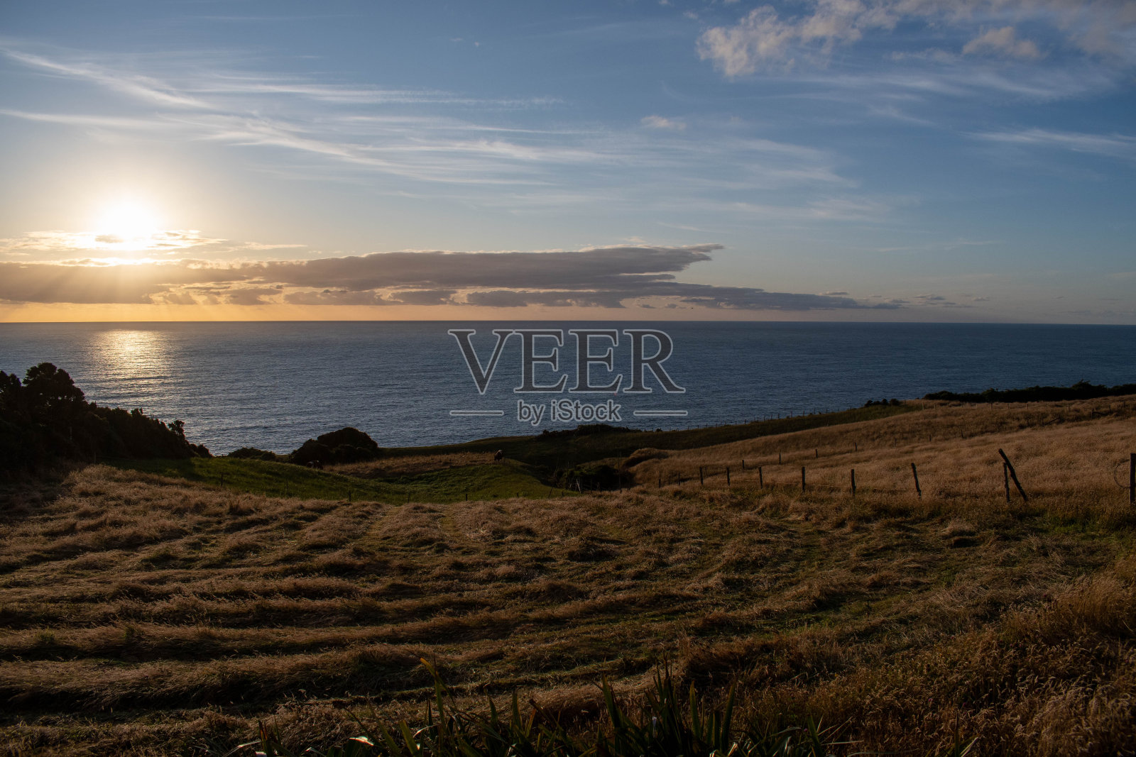 智利奇洛伊岛的柏油路和黄色的草地照片摄影图片