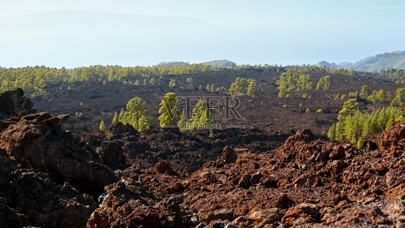 特内里费火山国家公园一览无余。旅游、旅游、度假。照片摄影图片
