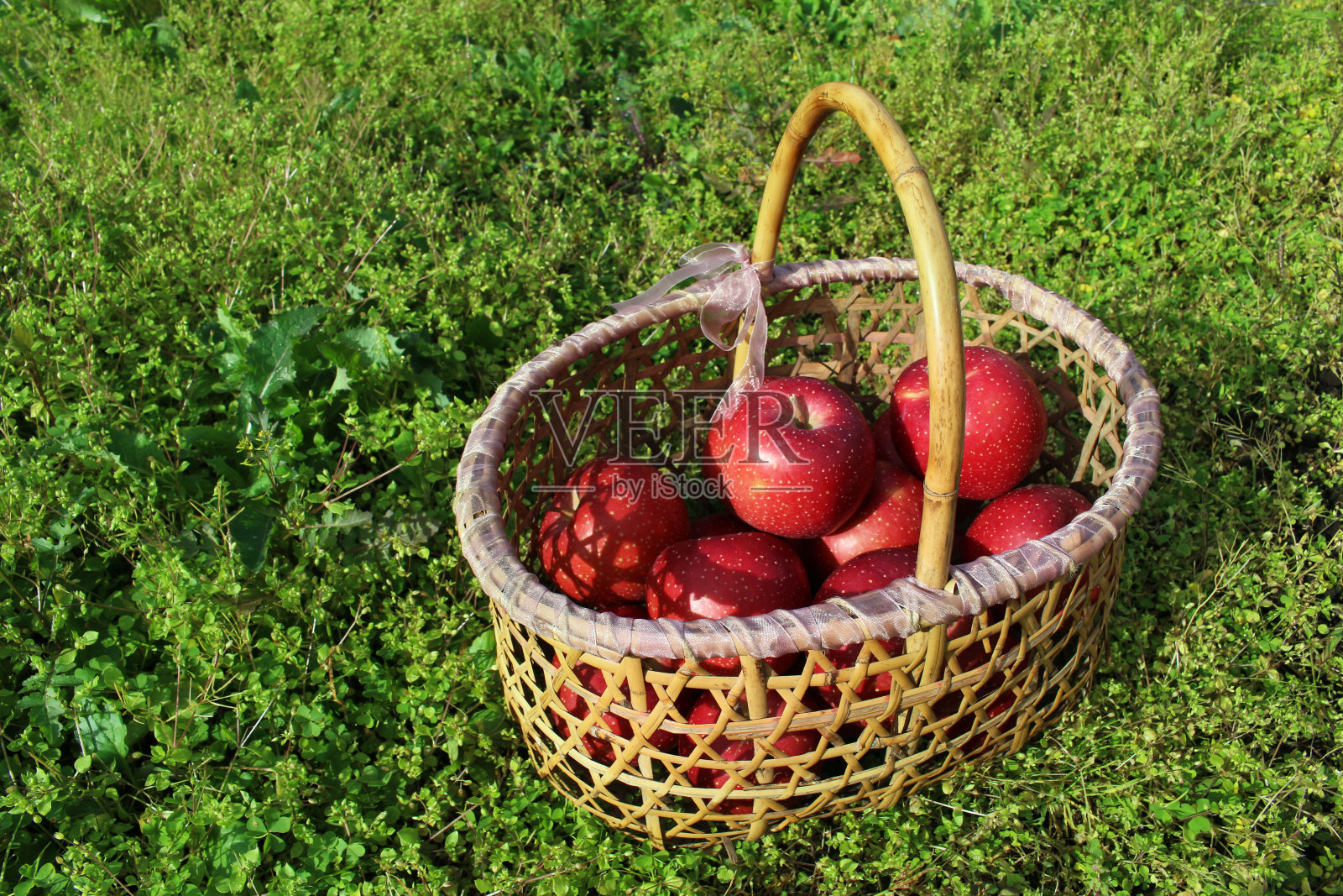 天然鲜红苹果水果照片摄影图片