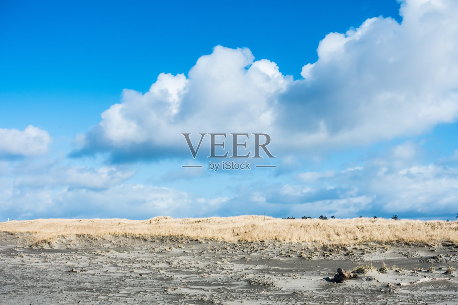 沙滩草和云照片摄影图片