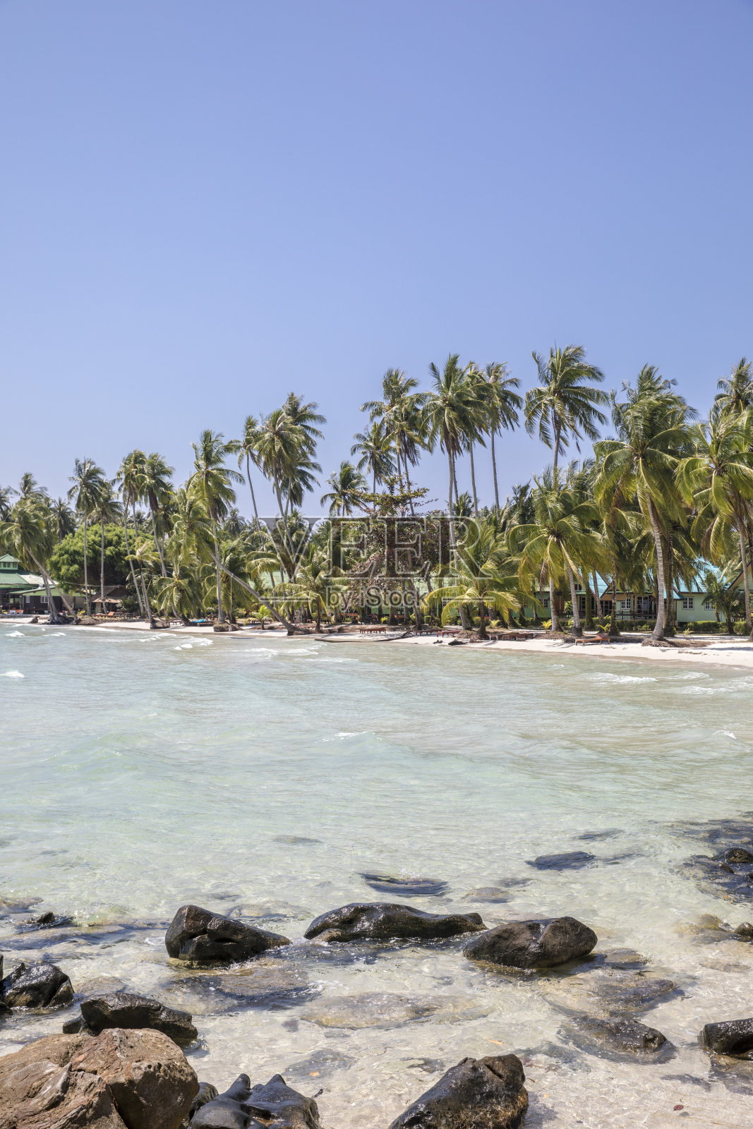 科编码照片摄影图片