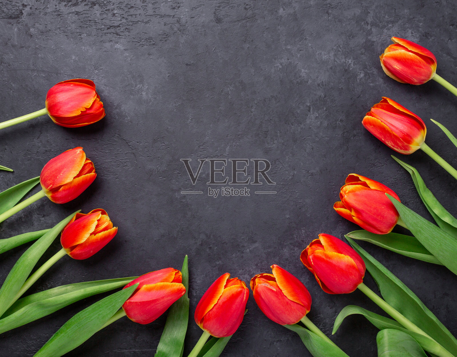 圆形框架与郁金香花在黑暗的石头背景。创意平面躺照片摄影图片