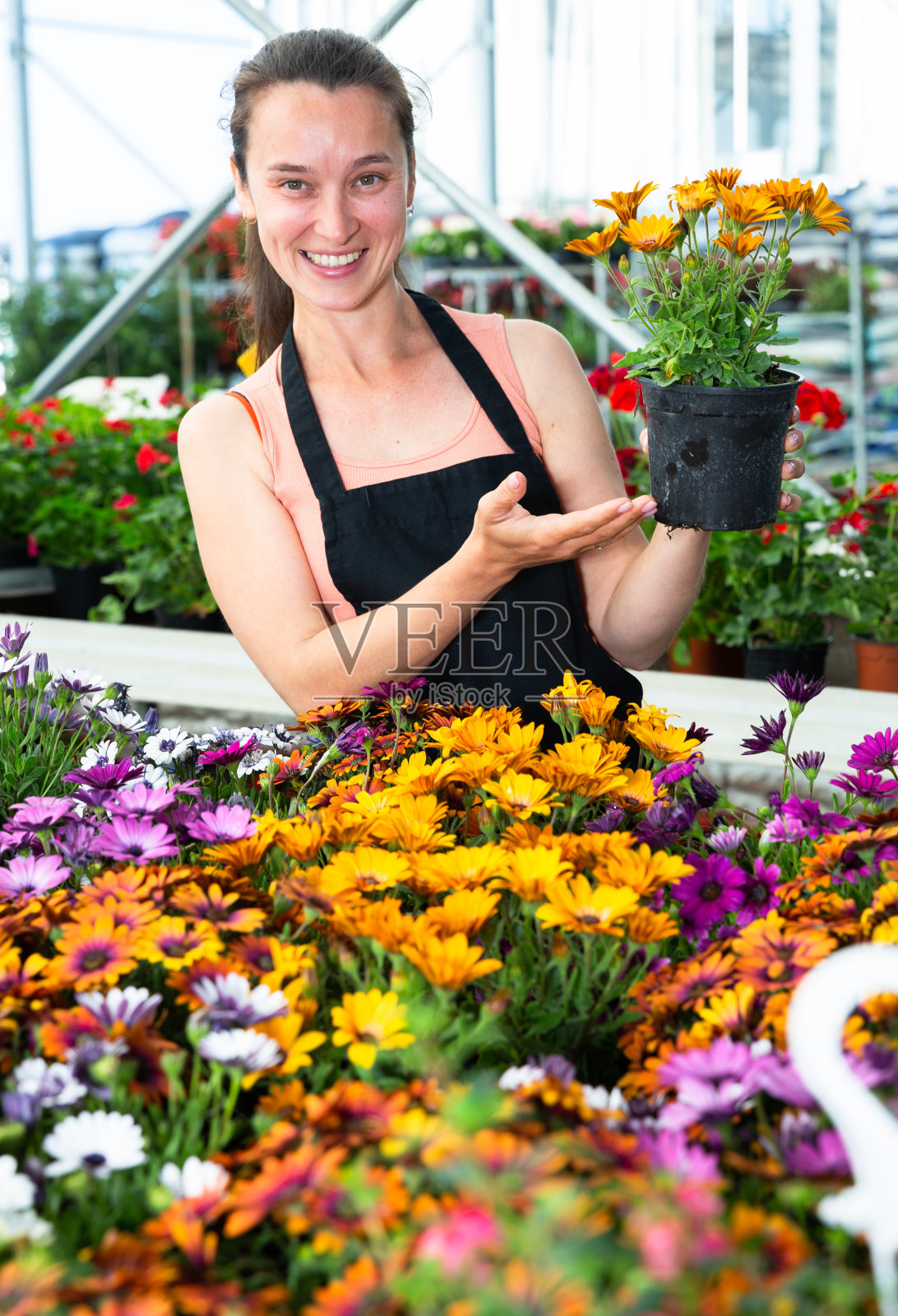 花房商店的女店员手捧花园鲜花照片摄影图片
