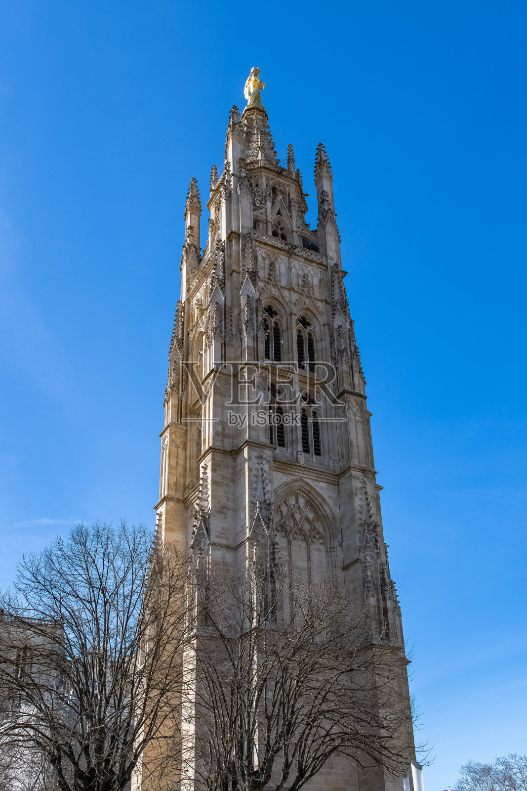 波尔多,浆果塔照片摄影图片