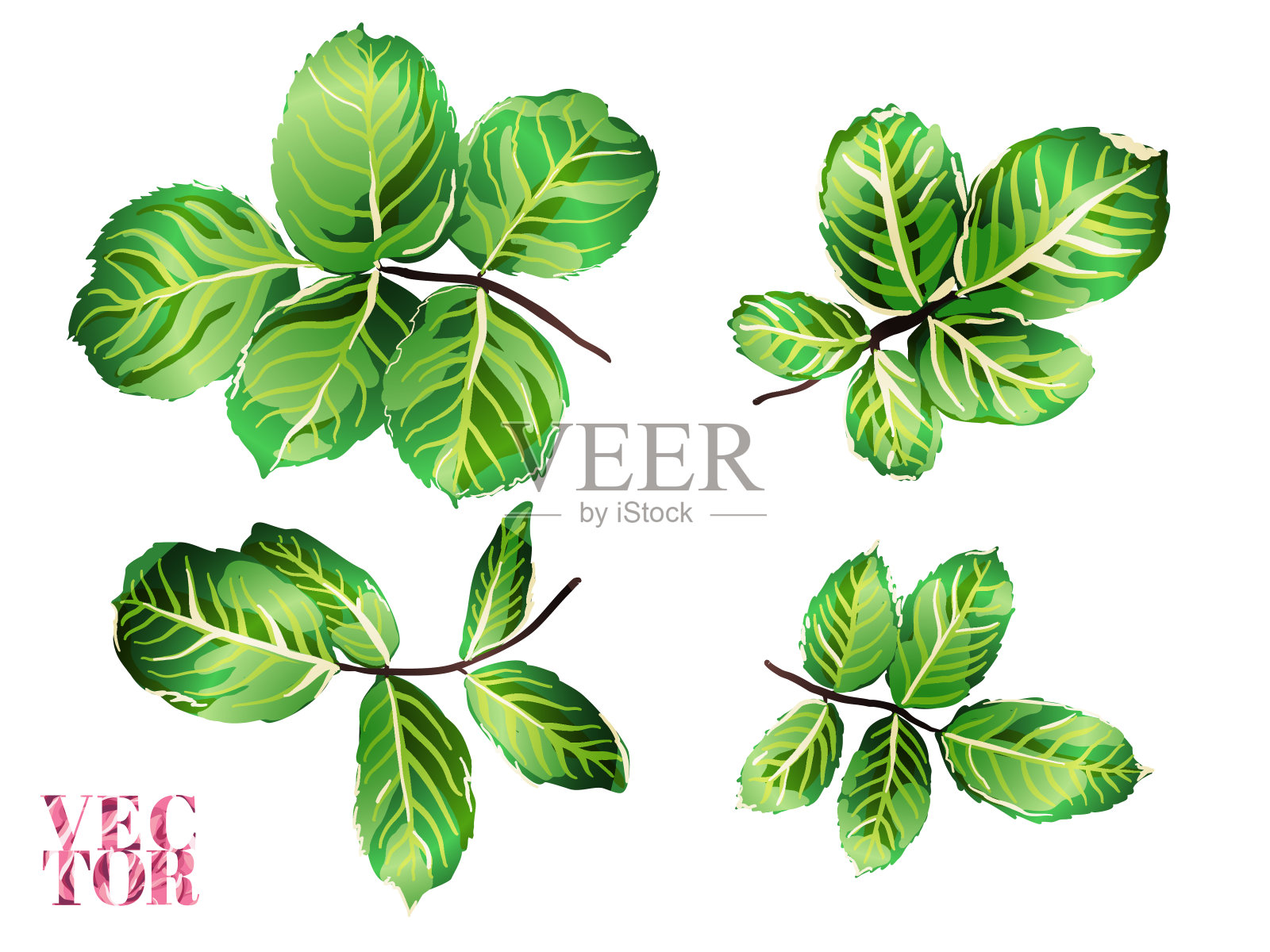 向量增加背景。插画图片素材