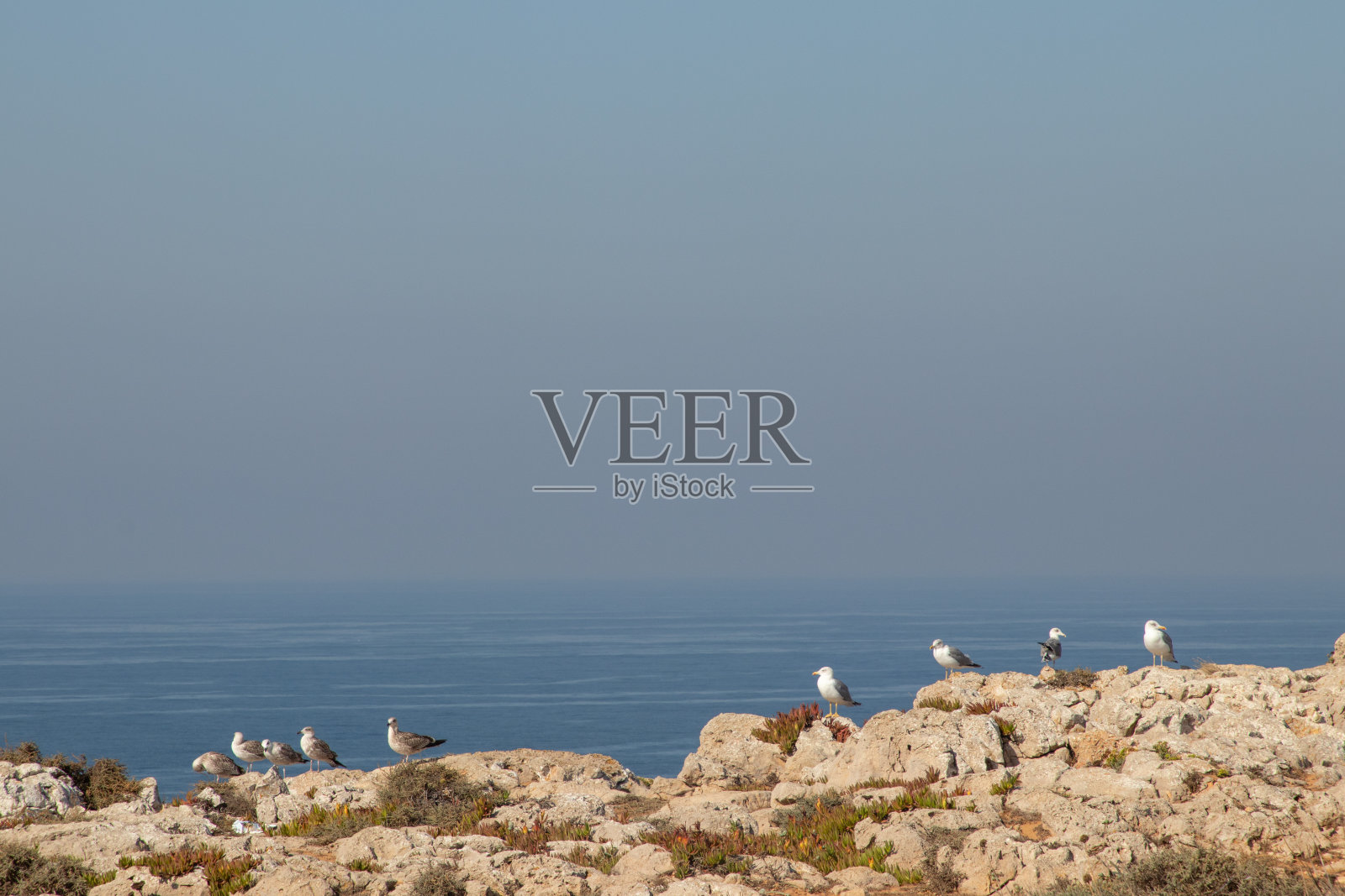 萨格里什要塞照片摄影图片