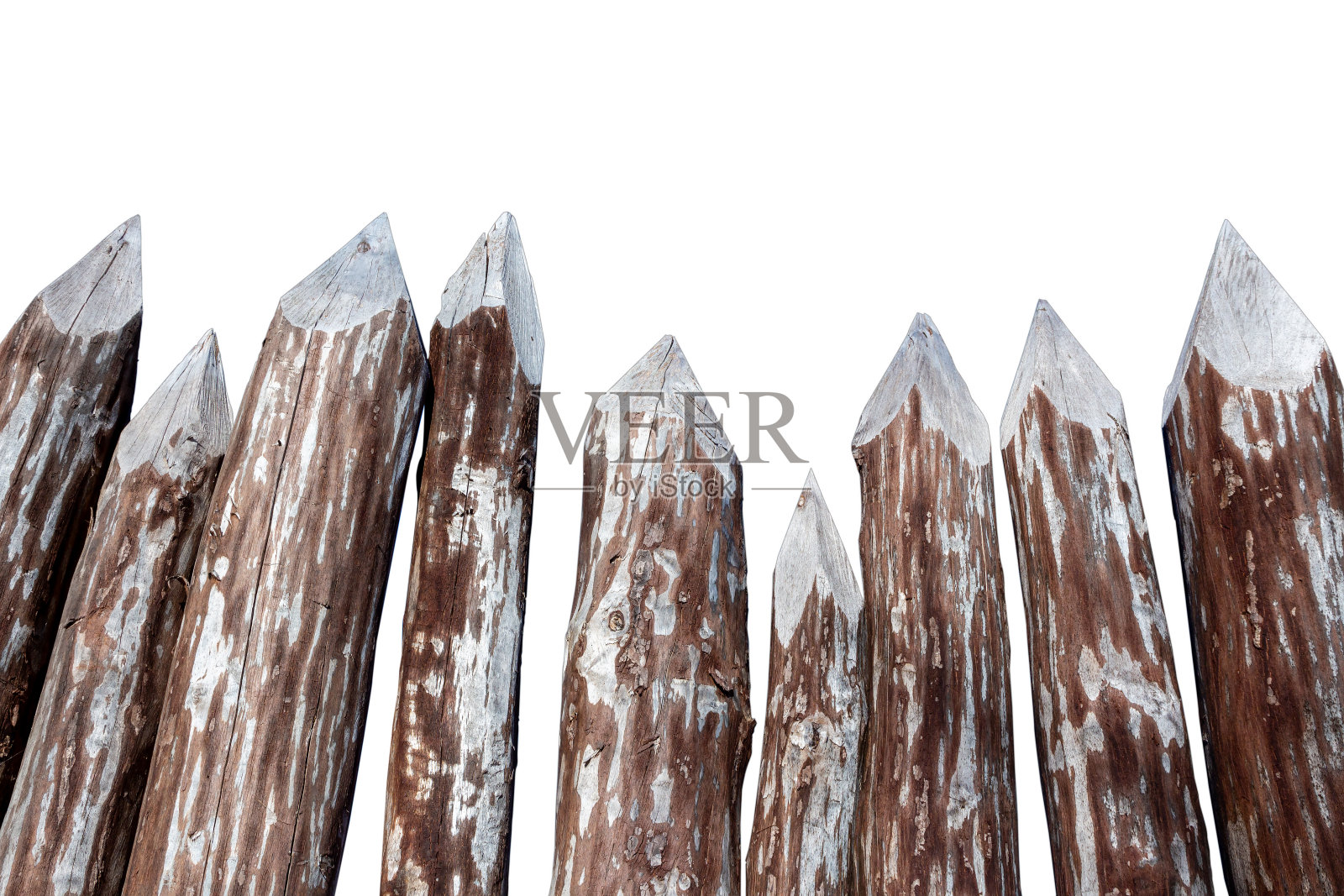 由孤立在白色背景上的树干做成的尖桩篱笆照片摄影图片