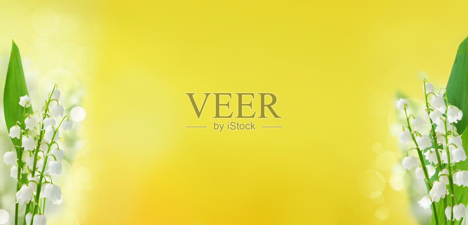 礼来之谷照片摄影图片