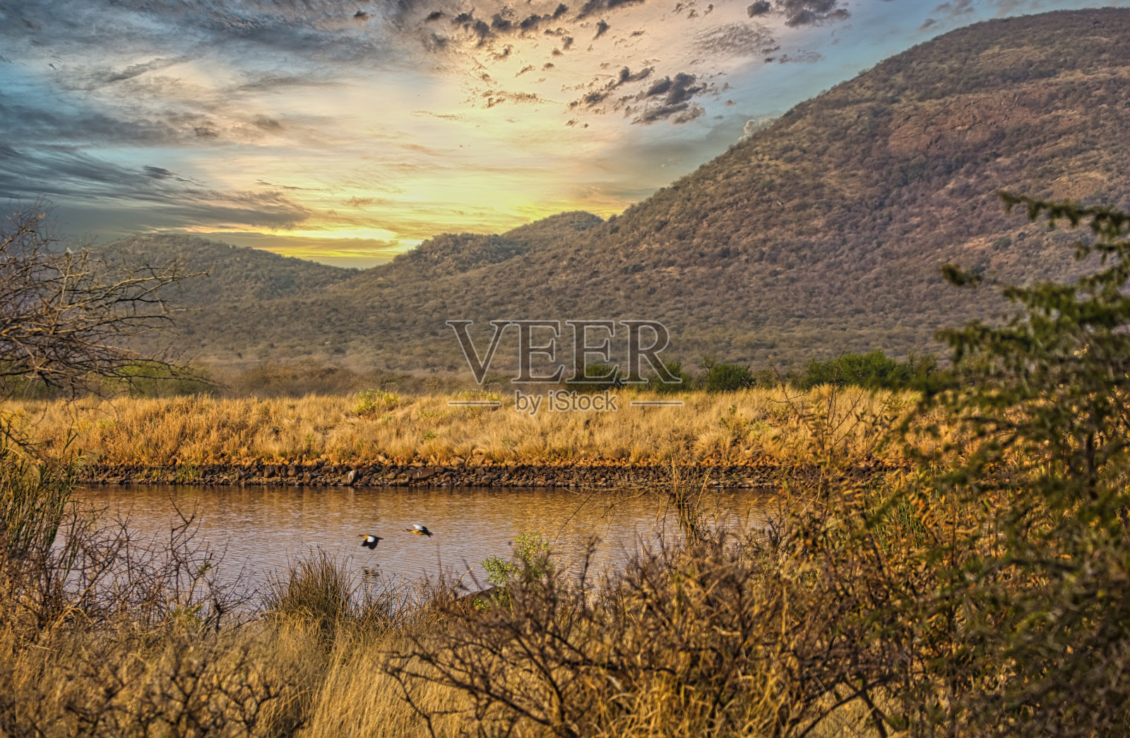 非洲景观照片摄影图片
