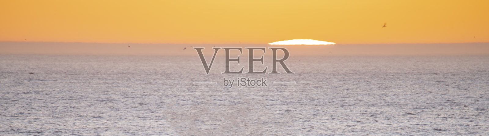 Taghazout的日落地平线照片摄影图片