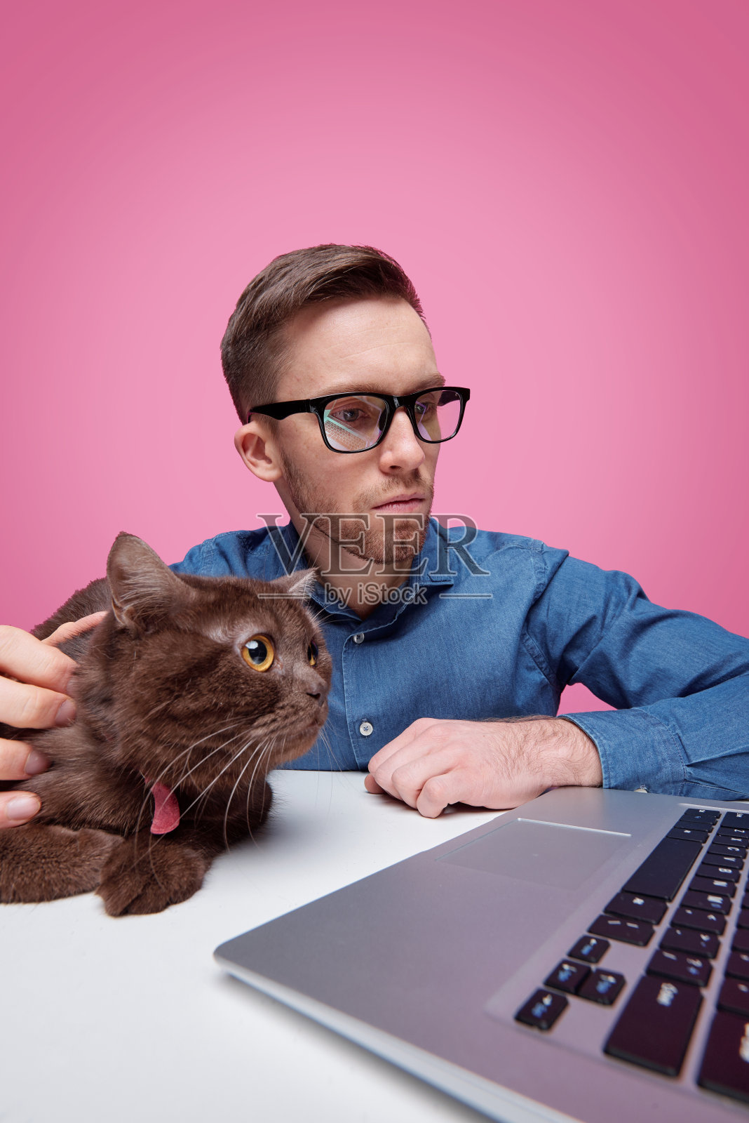 一个严肃的人一边抱着他的纯种宠物一边坐在笔记本电脑前照片摄影图片