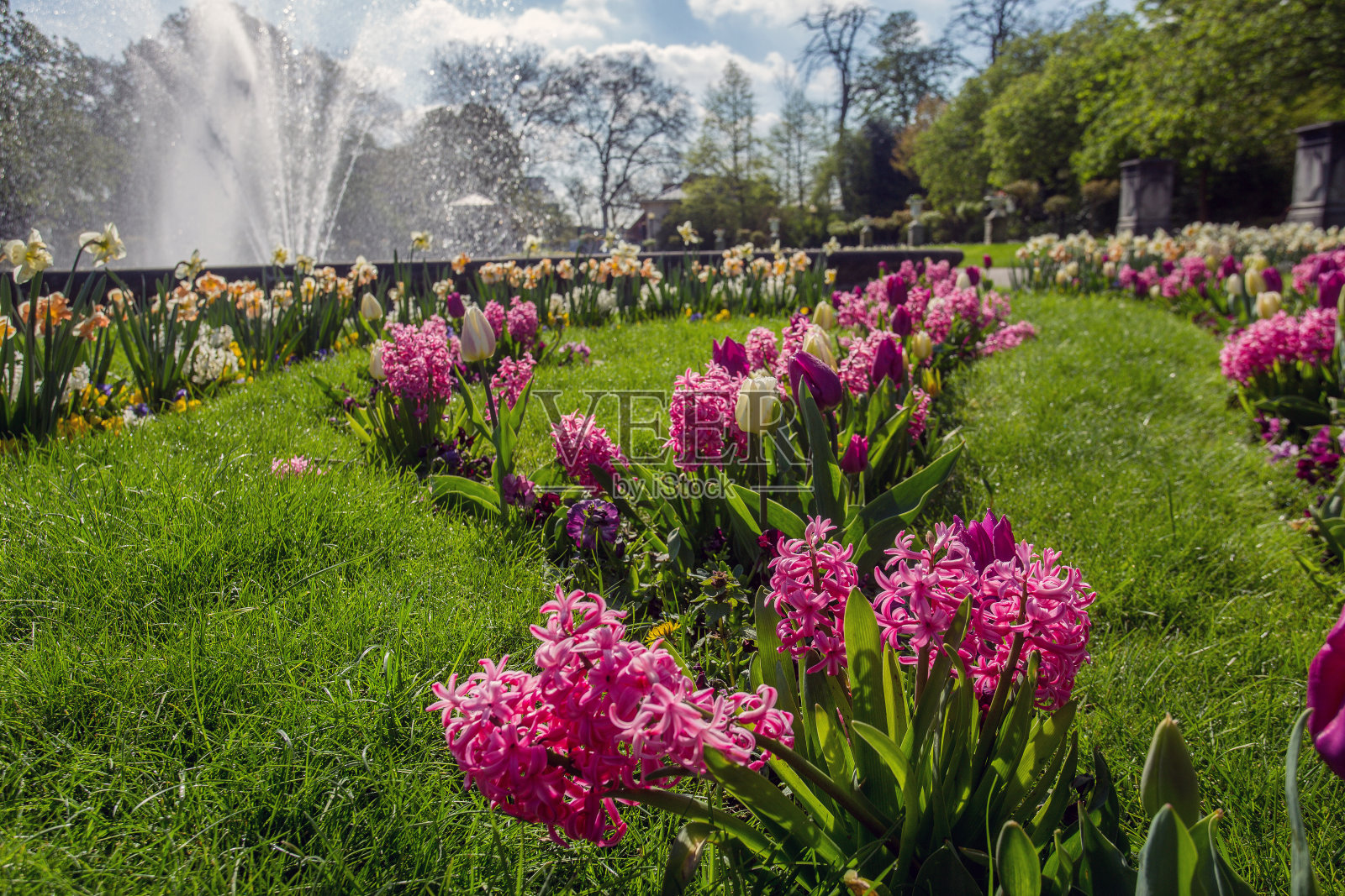 在科隆植物公园入口的花坛照片摄影图片