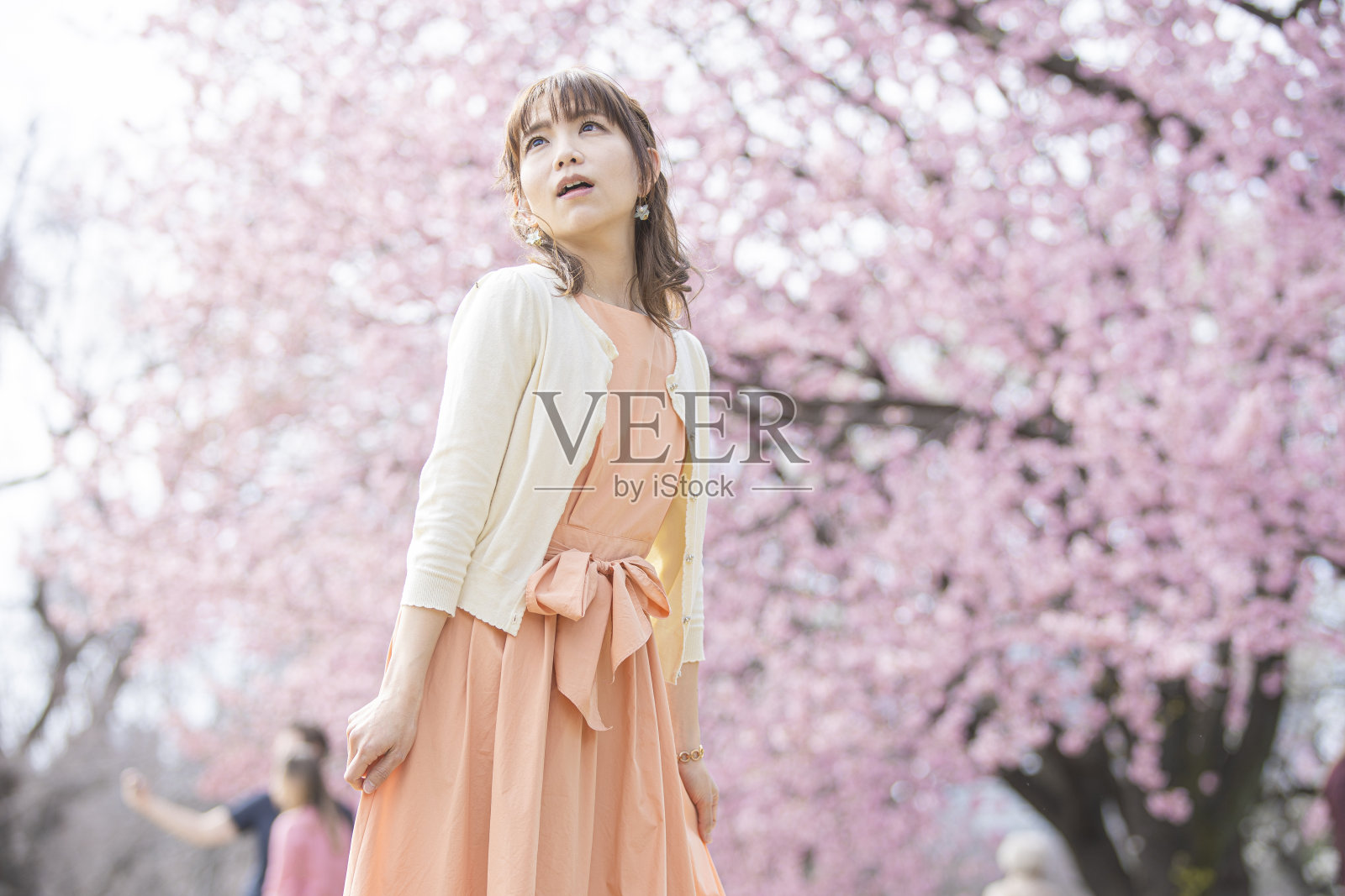 樱花树下的肖像照照片摄影图片