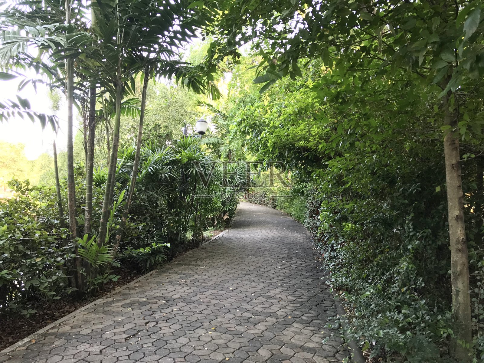 公园里的水泥人行道照片摄影图片