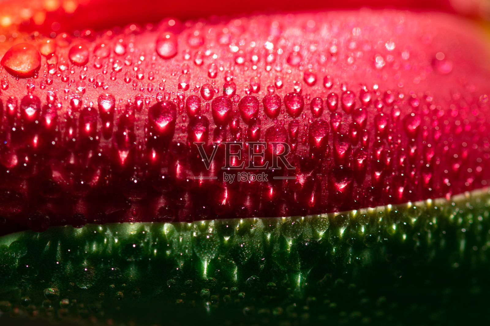 充满活力的红色和绿色的水滴多汁的新鲜照片摄影图片